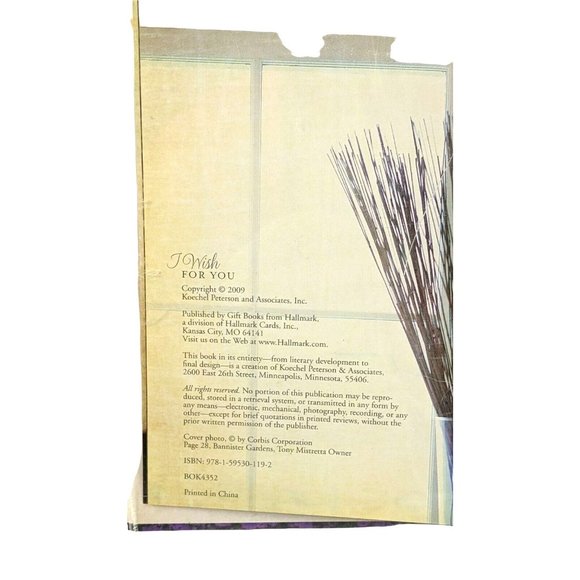 I Wish for You (Gentle Reminders to follow your heart) - Picture 4 of 4